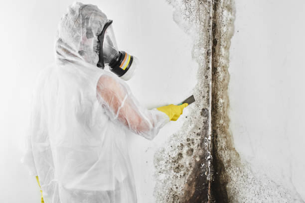 Best Toxic Mold Removal  in Marshallton, PA