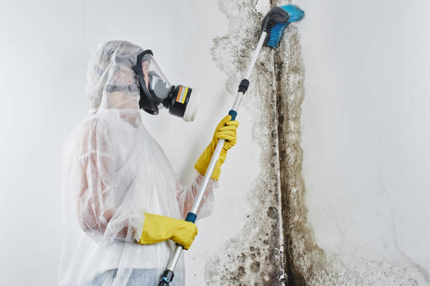 Best Office Mold Removal Services  in Marshallton, PA