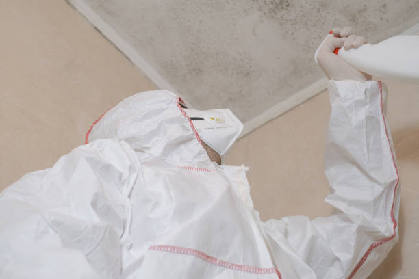 Best Home Mold Removal  in Marshallton, PA