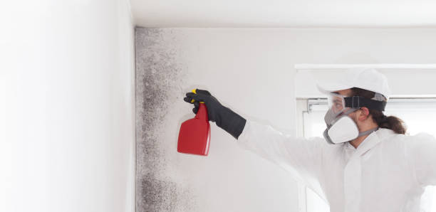 Best Best Mold Removal Companies  in Marshallton, PA