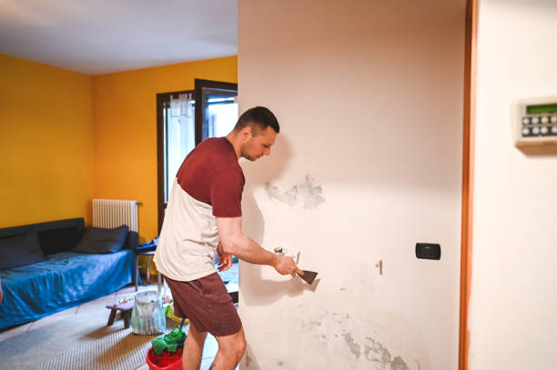 Best Local Mold Removal Service  in Marshallton, PA