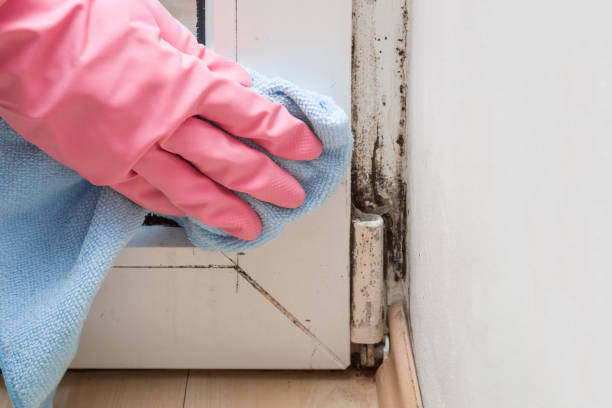Best Office Mold Removal Services  in Marshallton, PA